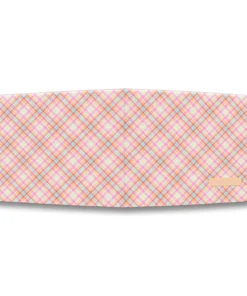 Alternative view of Lampeter