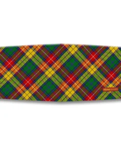 Alternative view of Buchanan Modern Diag