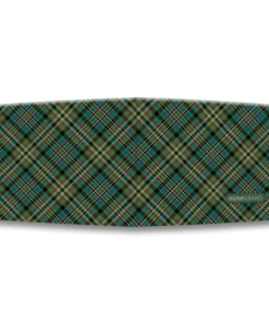 Alternative view of Landeck