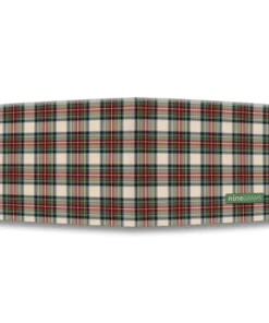 Alternative view of Bartica