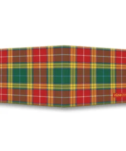 Alternative view of Buchanan Old Settlement Ancient