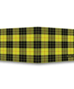 Alternative view of MacLeod of Lewis