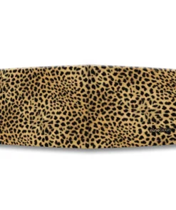 Alternative view of Cheetah