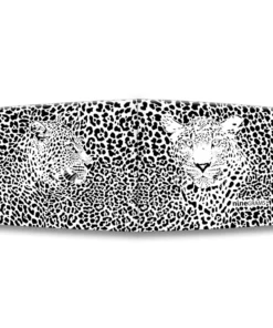 Alternative view of Cara leopardo blanco