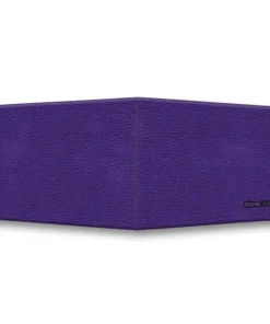 Alternative view of Ledo - Viola